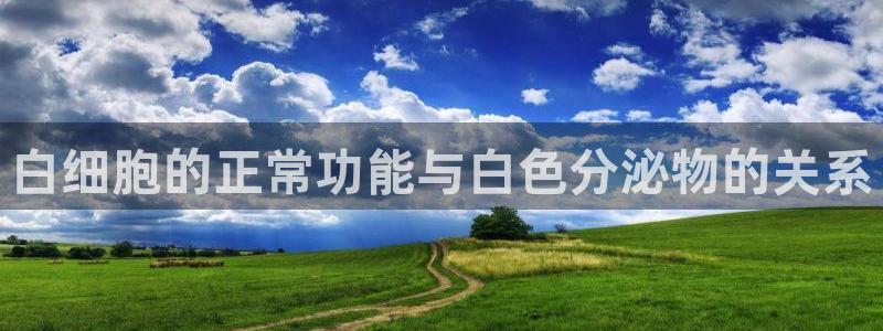 多多28官网下载多少：白细胞的正常功