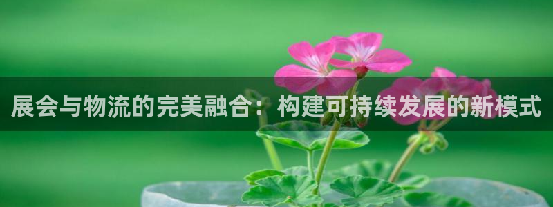 多多28退款：展会与物流的完美融合：