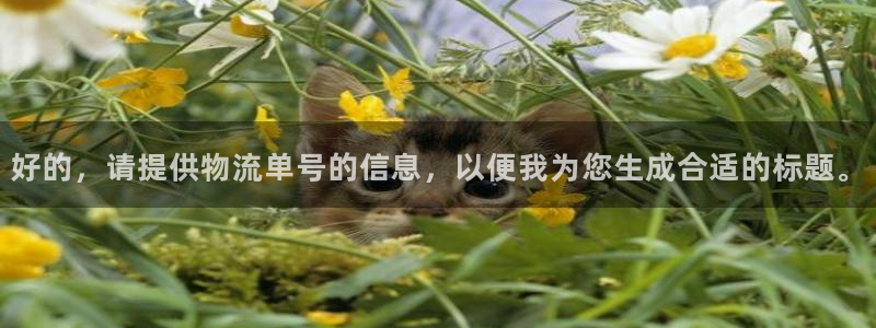 多多28稳吗：好的，请提供物流单号的