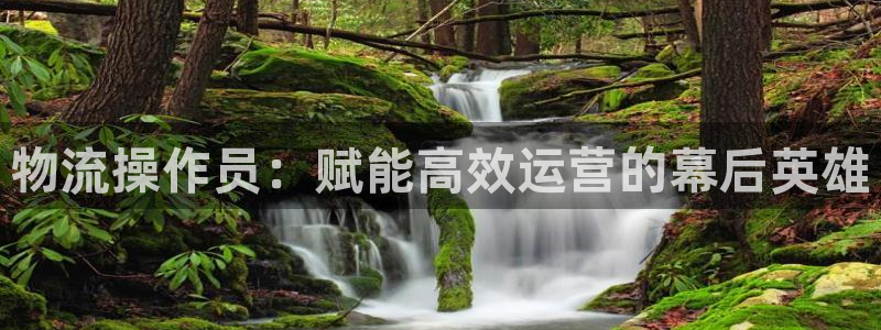 多多28在线预测：物流操作员：赋能高