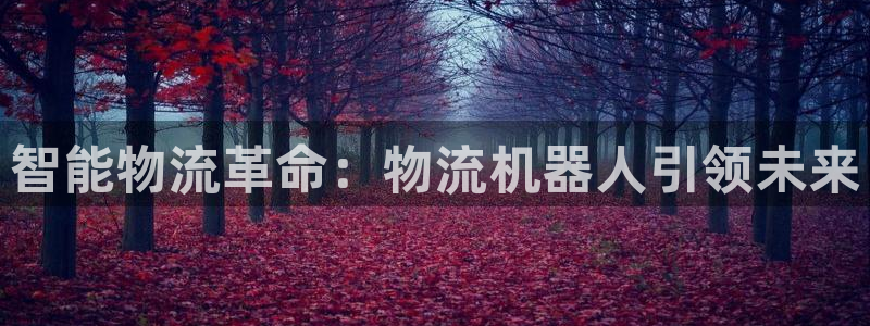 多多28连接：智能物流革命：物流机器