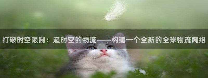 多多28麻将胡了：打破时空限制：超时
