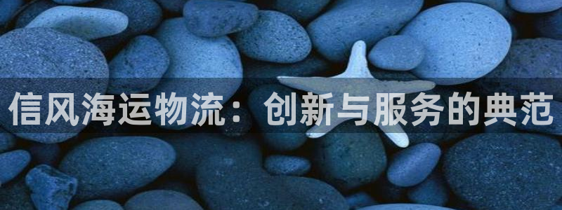 多多28如何注销账号：信风海运物流：