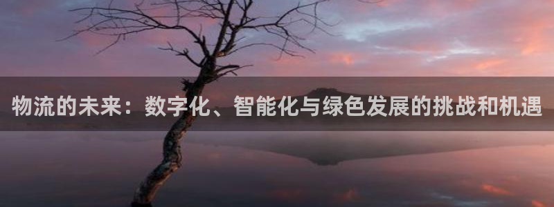 多多28人头费：物流的未来：数字化、