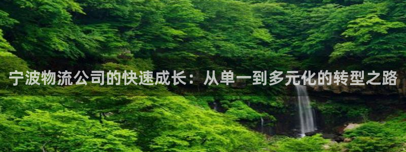 多多28官方版网站：宁波物流公司的快