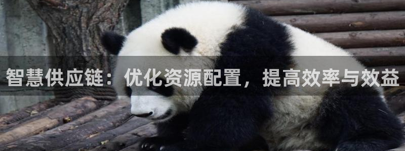 多多28官方官网版：智慧供应链：优化
