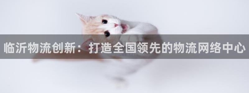 多多28模拟器在线玩