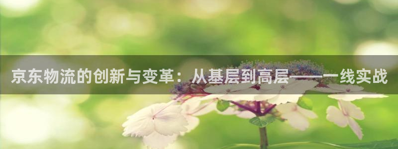 多多28的自行车