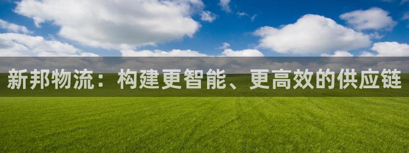 多多28加拿大是什么意思