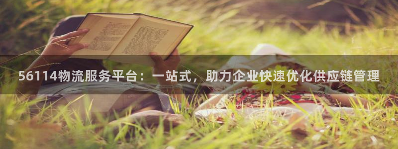 多多28充值不到账什么原因：56114物流服务平台：一站式，