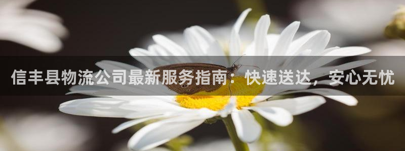 多多28可以退款吗：信丰县物流公司最