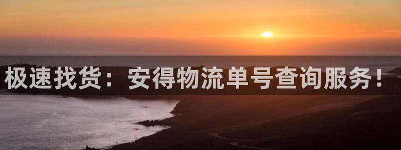 多多28：极速找货：安得物流单号查询