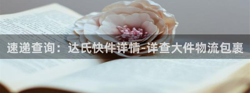 多多28注册登录链接：速递查询：达氏快件详情-详查大件物流包