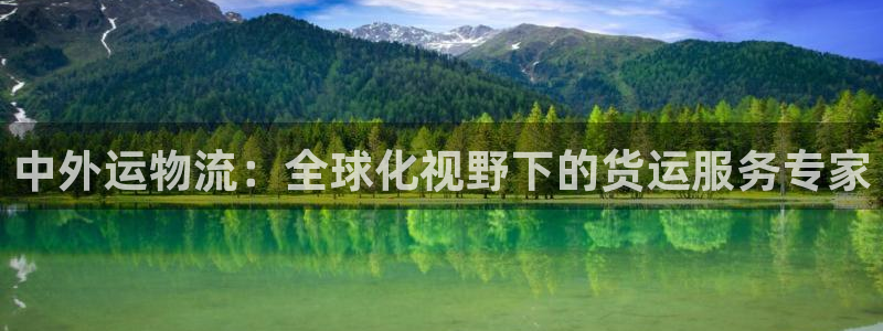 多多28注册：中外运物流：全球化视野下的货运服务专家