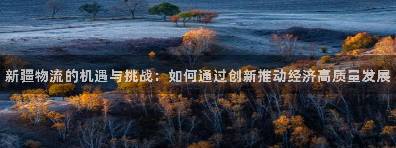 多多28是正规软件吗：新疆物流的机遇与挑战：如何通过创新推动