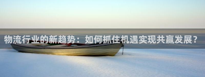 多多28怎么注册：物流行业的新趋势：如何抓住机遇实现共赢发展