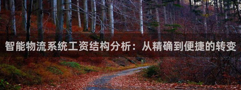 多多28违法吗：智能物流系统工资结构