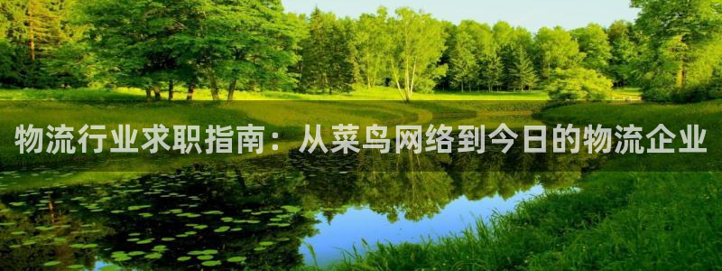 多多28pc预测：物流行业求职指南：