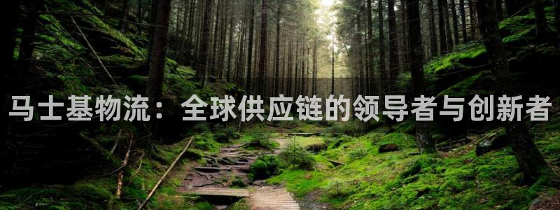 多多28预测加拿大师准：马士基物流：