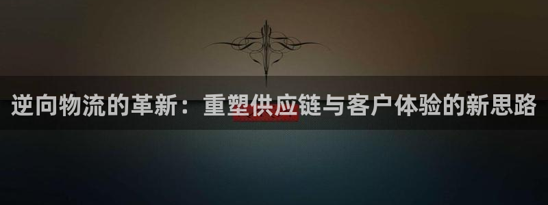 多多28下载链接是多少：逆向物流的革新：重塑供应链与客户体验