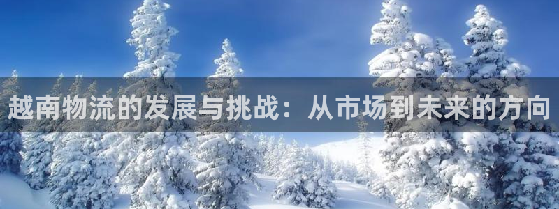 多多28怎么注册账号：越南物流的发展